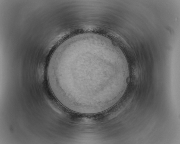 X0000114220496200911061510