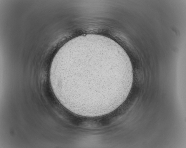 X0000114220499200911061510