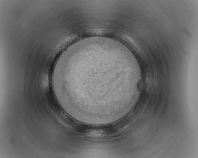 X0000114220500200911061510