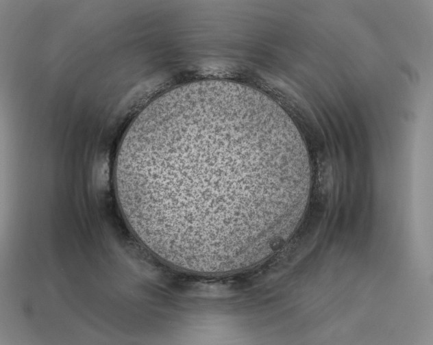 X0000114220502200911061510