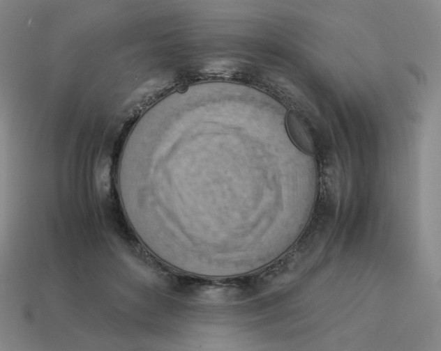 X0000114220504200911061510