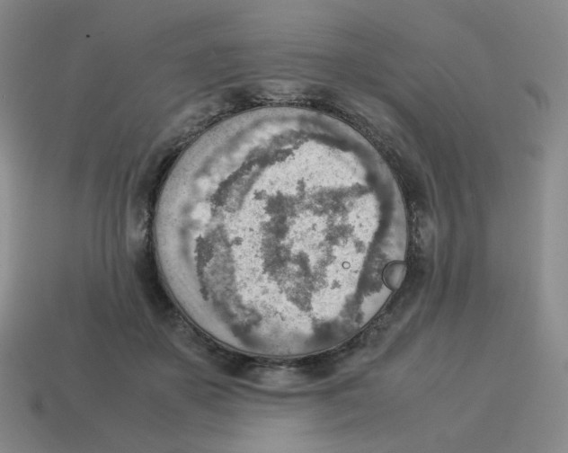 X0000114220507200911061509