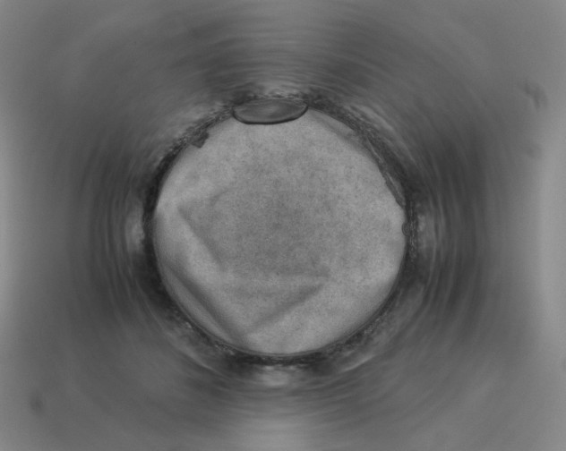 X0000114220508200911061509