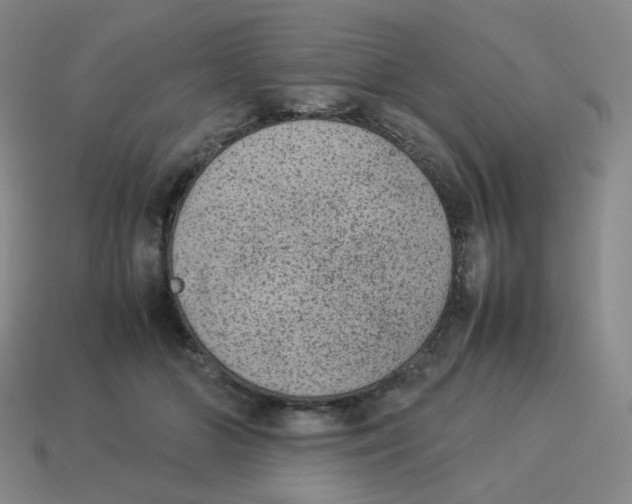 X0000114220510200911061509