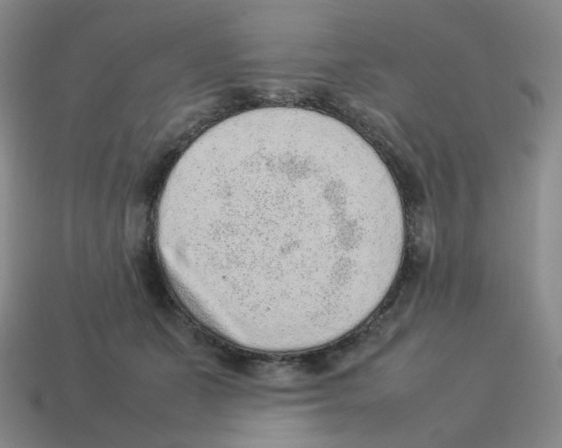 X0000114220511200911061509