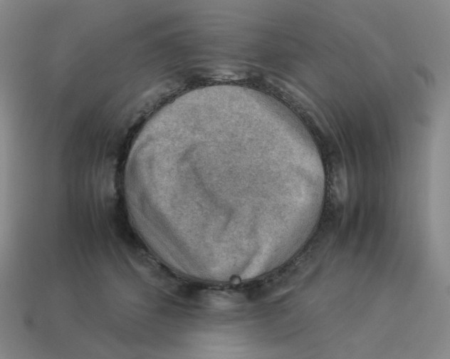 X0000114220512200911061509