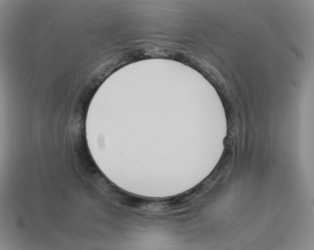 X0000114220513200911061509