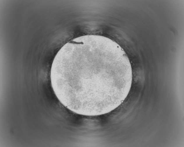 X0000114220515200911061509