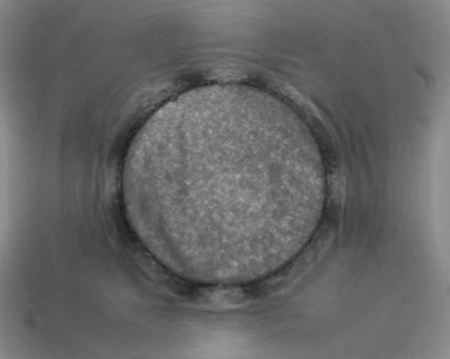 X0000114220517200911061509