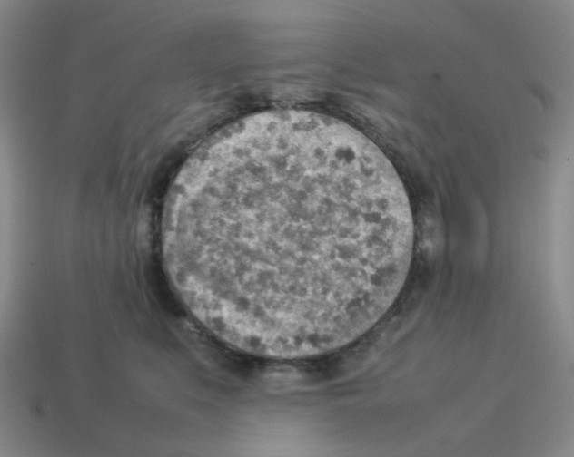 X0000114220519200911061509