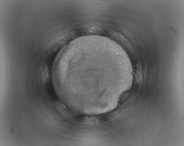 X0000114220520200911061509