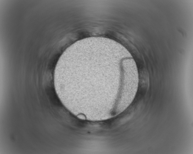 X0000114220523200911061509