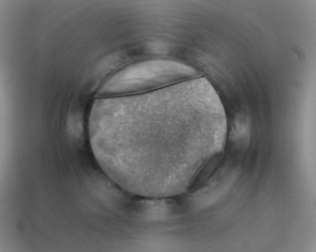 X0000114220524200911061509