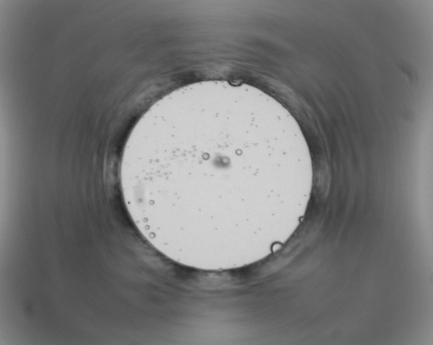 X0000114220525200911061509