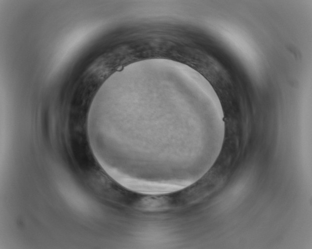 X0000114220526200911061509