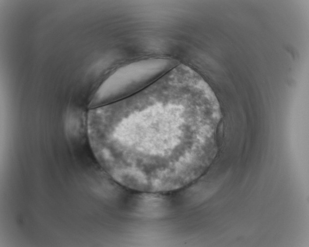 X0000114220528200911061509