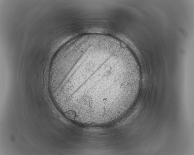 X0000114220529200911061508