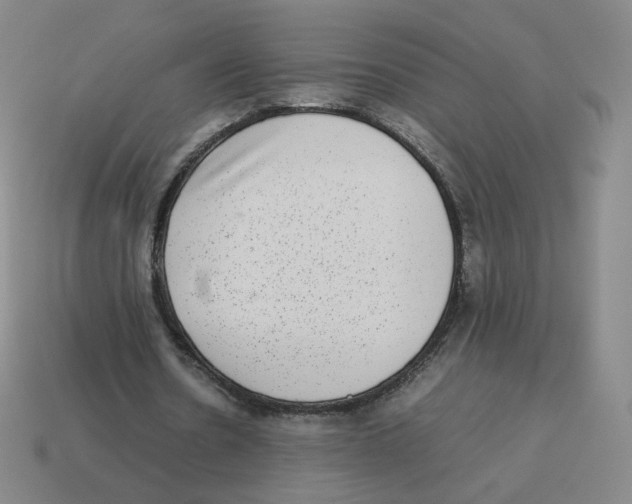 X0000114220530200911061508