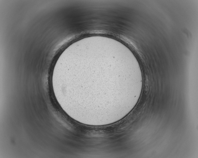 X0000114220535200911061508