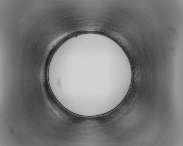 X0000114220536200911061508