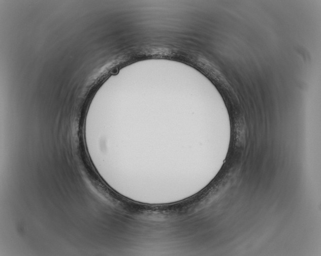 X0000114220538200911061509