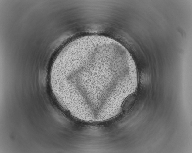 X0000114220540200911061509