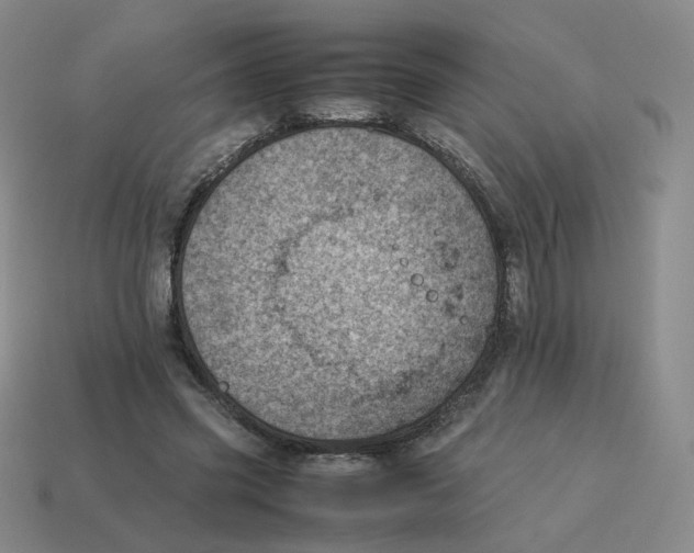 X0000114220541200911061509