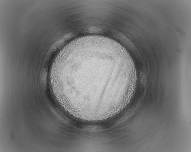 X0000114220542200911061509