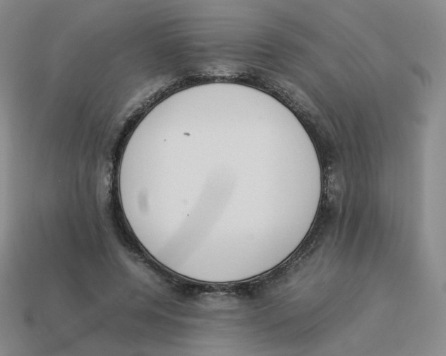 X0000114220544200911061509