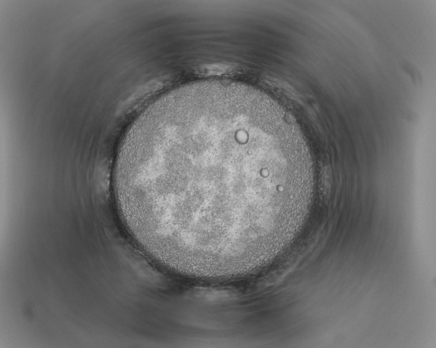 X0000114220545200911061509