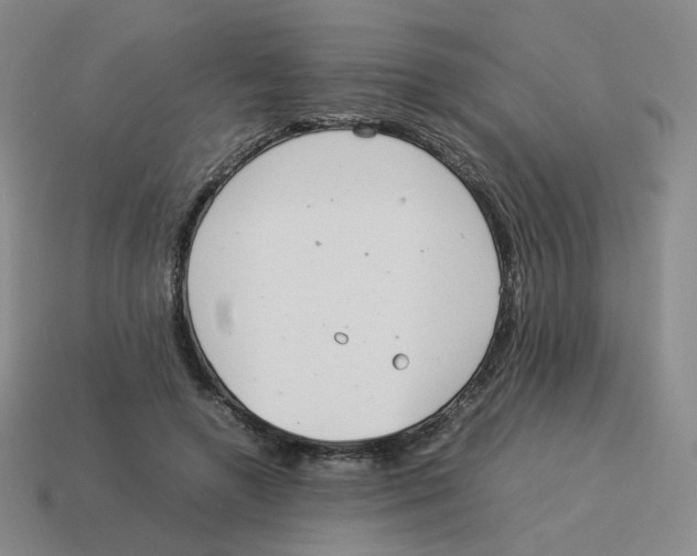 X0000114220546200911061509