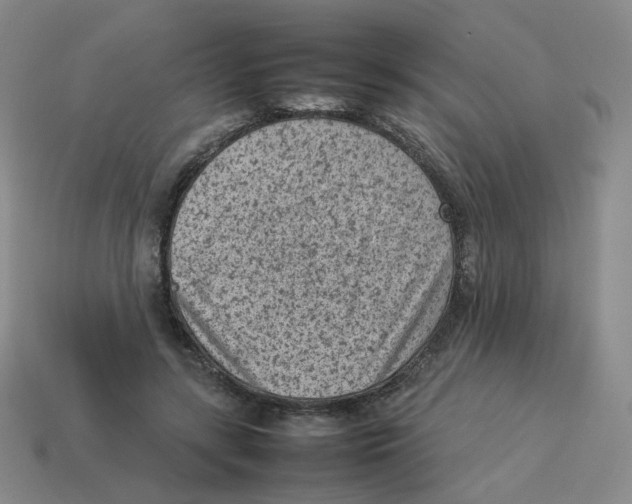 X0000114220547200911061509