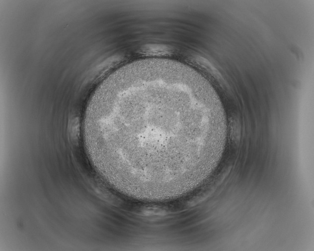 X0000114220549200911061509