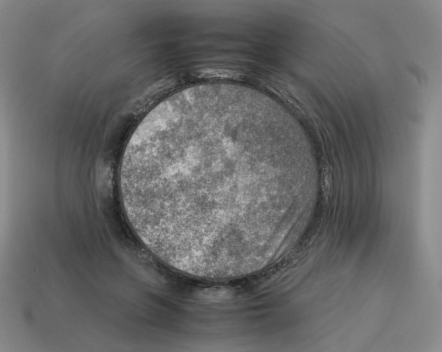 X0000114220551200911061509