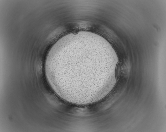 X0000114220552200911061509