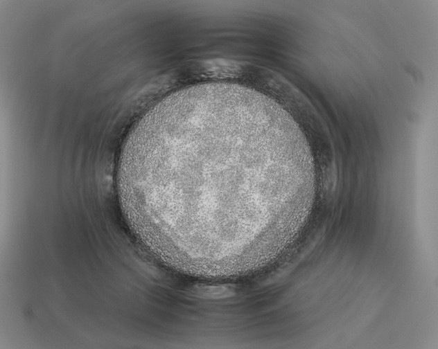 X0000114220553200911061509