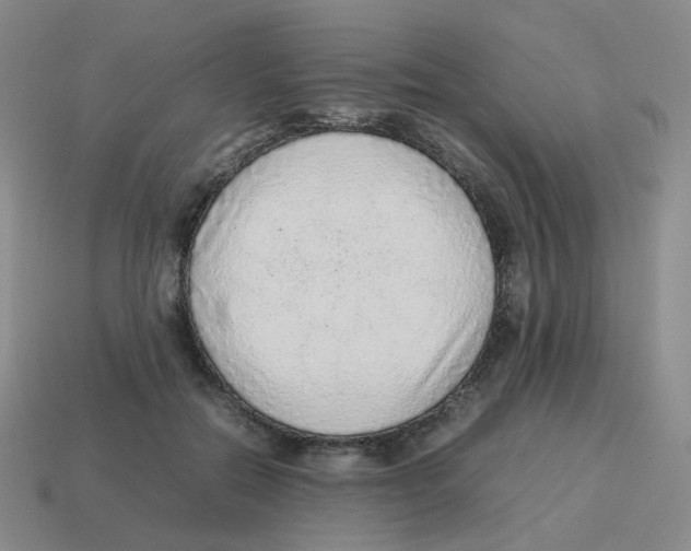 X0000114220554200911061509