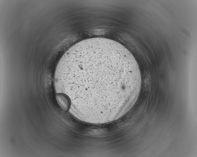 X0000114220555200911061509