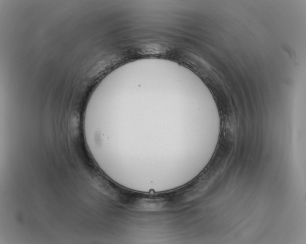 X0000114220556200911061509