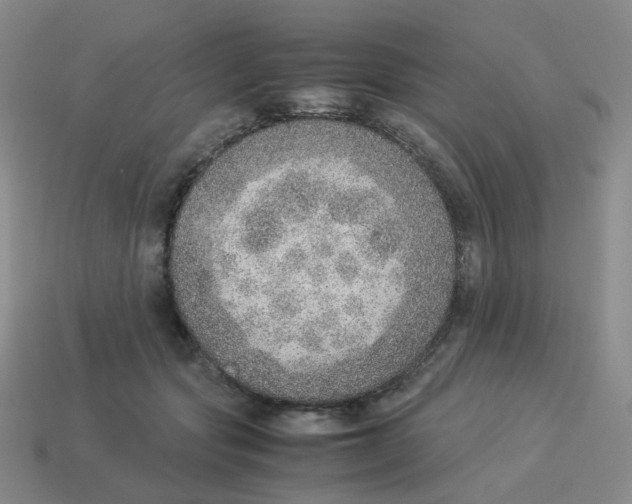 X0000114220557200911061509