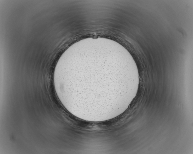 X0000114220558200911061509