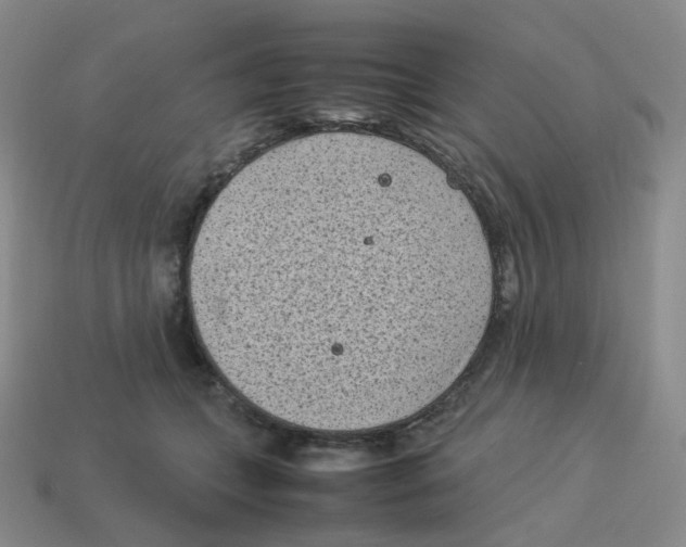 X0000114220559200911061509