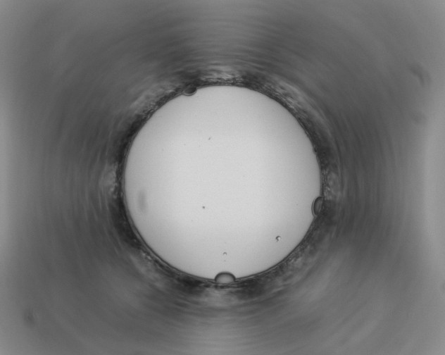 X0000114220560200911061509