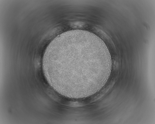 X0000114220561200911061509