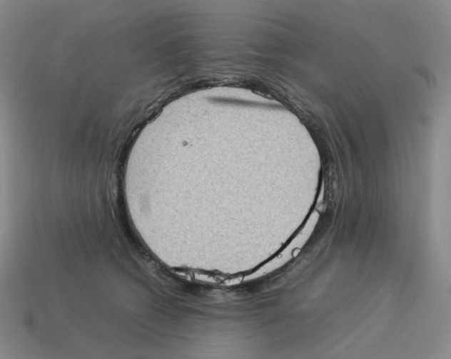 X0000114220562200911061509