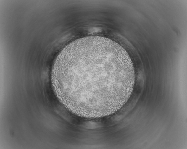 X0000114220565200911061509