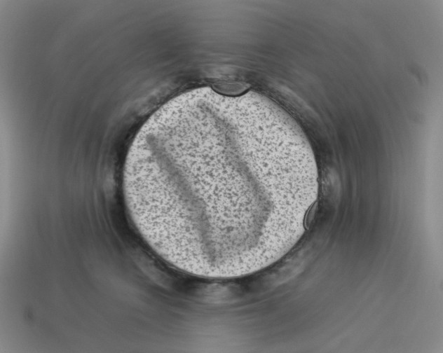 X0000114220566200911061509