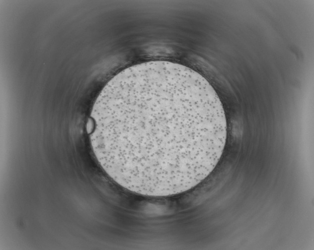 X0000114220567200911061509