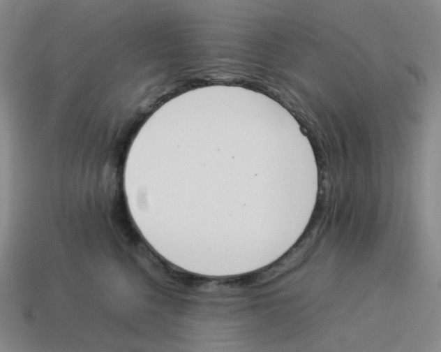 X0000114220568200911061509