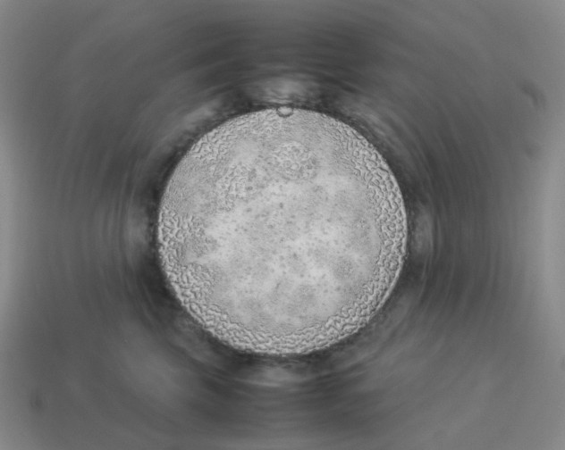 X0000114220569200911061509